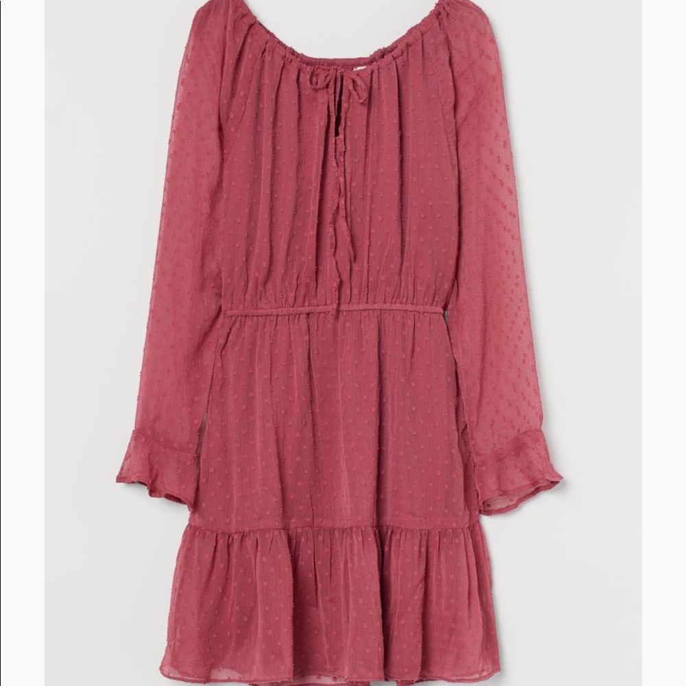 H&M Plumeti Chiffon Dress Size L